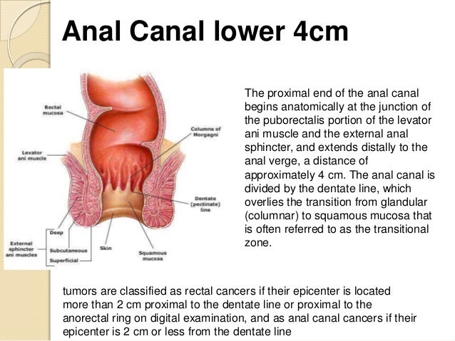 Red mature house wife Urethral orifice into the anus